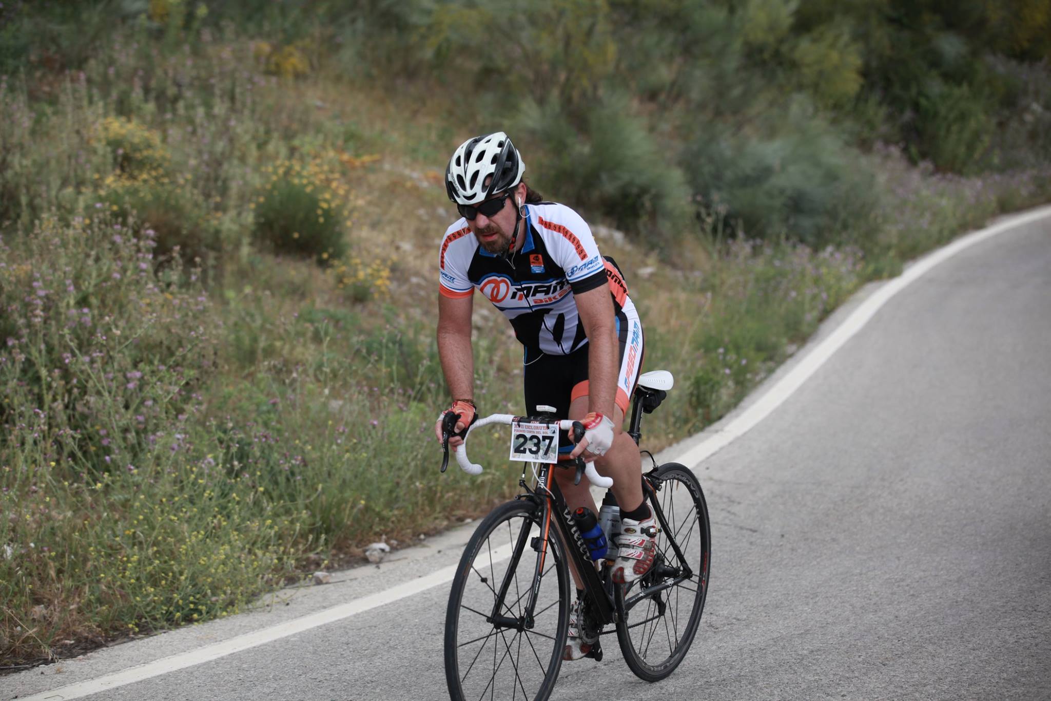 Alfarnate 2014 Alfarnate 2014